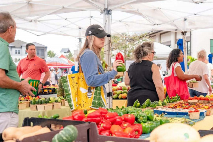 The Farmers' Market
