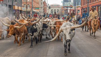 National Western Stock Show
