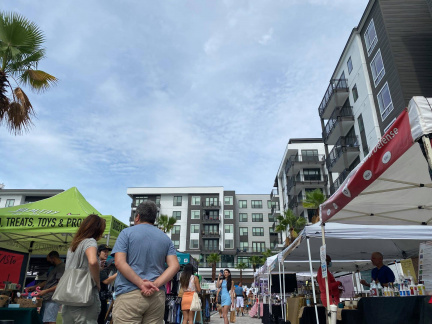 Sunshine Market