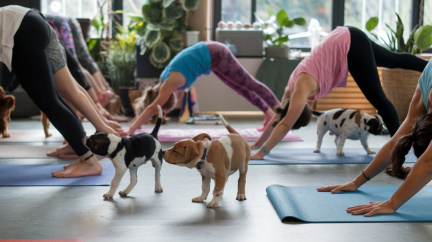 a-photo-of-a-yoga-class-with-a-twist-playful-puppi-3sjj8v31TCiuHX5ViIpLYA-l1Zpn4GsRtOxE-dj5Cwk5Q