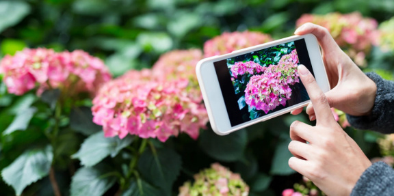Phone Photography Workshop