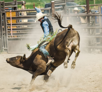 PBR Pittsburgh