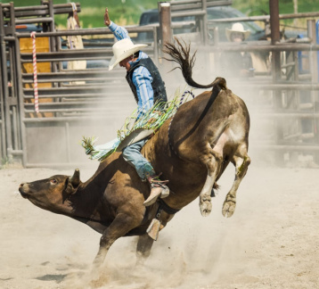 PBR Pittsburgh
