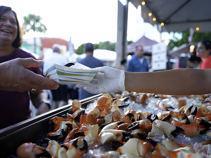 STONE CRAB FESTIVAL