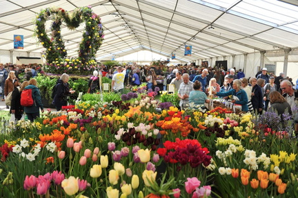 rhs-malvern-spring-festival-floral-marquee-jpg-662cd1a24eb02
