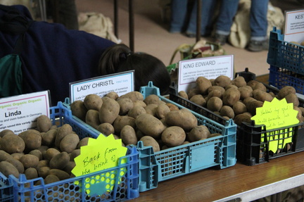 NOGs Potato Day