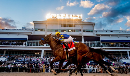 Pegasus World Cup