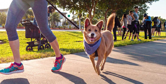 Annual RunWalk for the Paws 5K