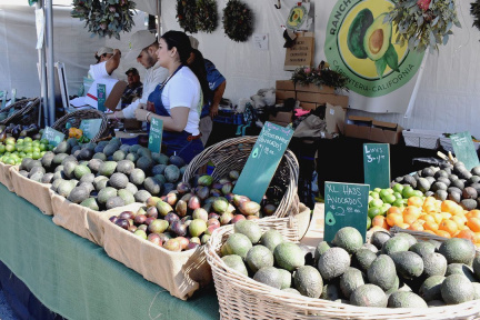 California Avocado Festival
