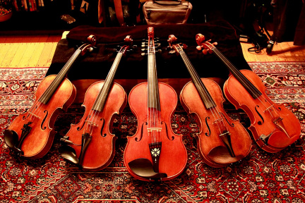 Wintergrass Festival