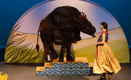 Where Have All The Buffalo Gone
