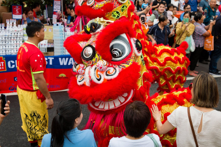 Lunar New Year Festival