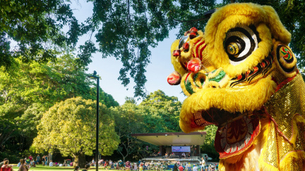 Lunar New Year in the Gardens   website