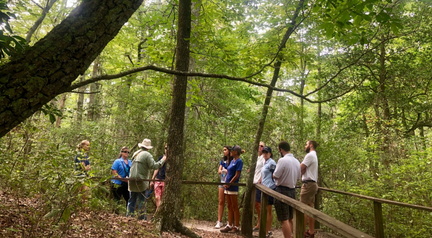 Walk with the Naturalist