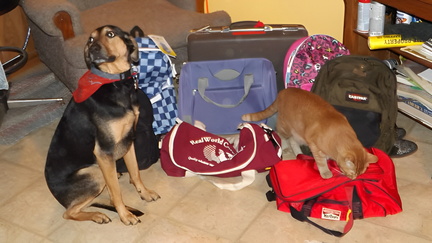 Luggages Of Love