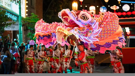 Lunar New Year Celebration