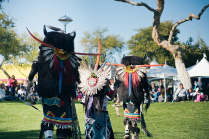 Arizona Indian Festival  .