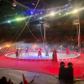 Kosair Circus