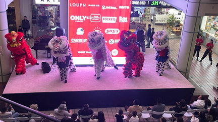 Lunar Night Market
