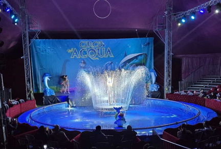 Circo sull'acqua di Aldo Martini