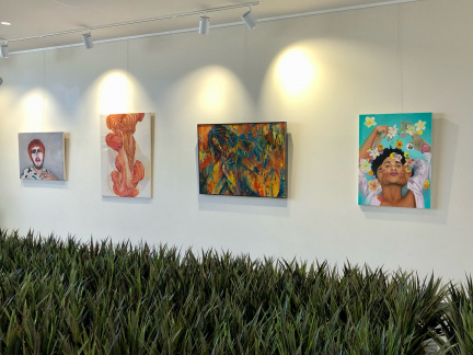 Wonders That Surround Us Exhibition