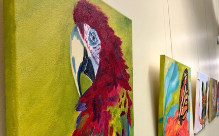 Celebration of Vivid Colors