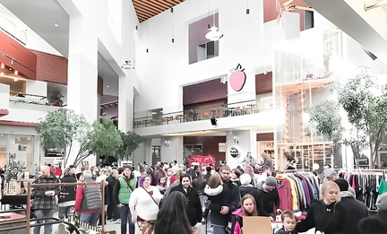 The HBG Flea