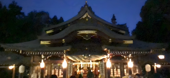 Hayatani Shrine New Year's visit