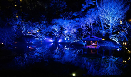 八芳園-BLUEGARDEN2025-LightUp