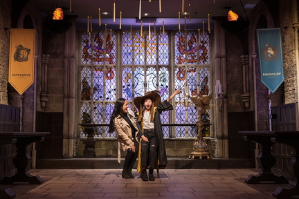 Harry Potter™ Magic at Play