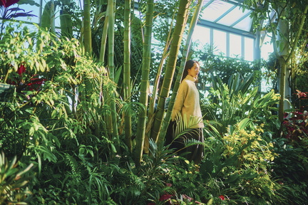 Winter Garden Fair 2025