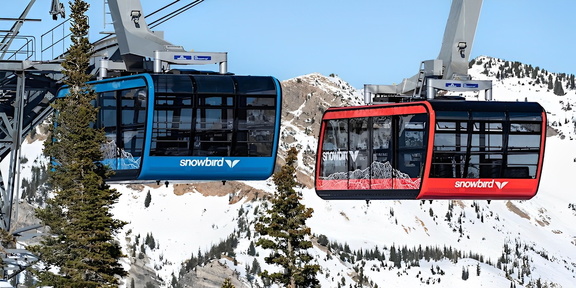 Huge House: Mar  10-16 Snowbird &amp; Brighton $649 (7 Days 6 Nights+Transport)