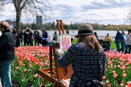 Canadian Tulip Festival