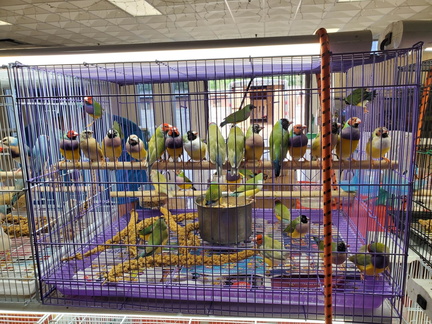 Exotic Pet Expo