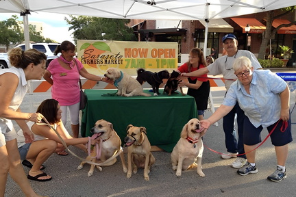 Sarasota Farmers Market