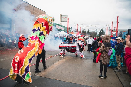 Lunar New Year Festival