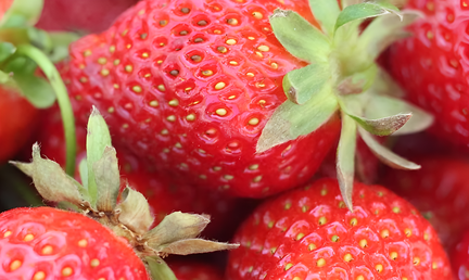 Middle Tennessee Strawberry Festival