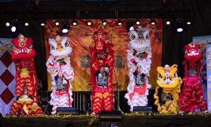 San Diego Tet Festival