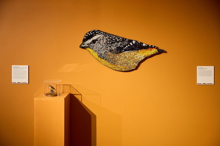 Time &amp; Materiality - National Wool Museum
