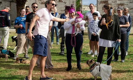 barkus