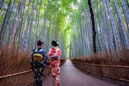 Arashiyama Bamboo Grove Day Trip