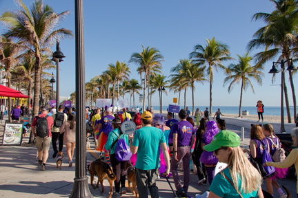 35th Annual VCA Walk For The Animals