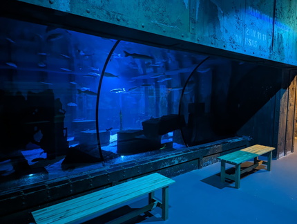 Lights Under the Sea