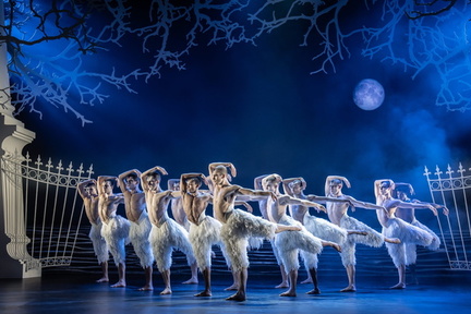 Matthew Bourne's Swan Lake