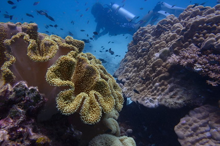thailands-koh-tao-is-a