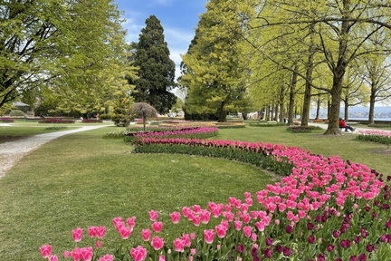 fete-tulipe-2021-0316