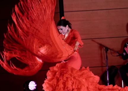 We Call It Flamenco .