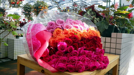 RIMG3203-1536x864