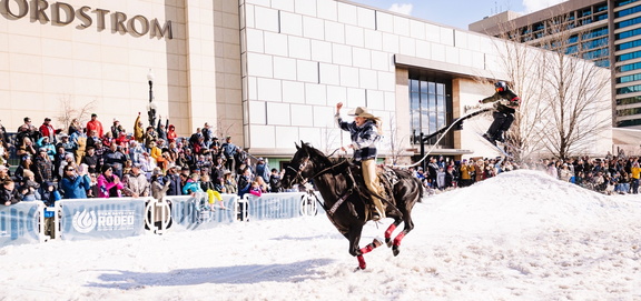 Winter Roundup 2025