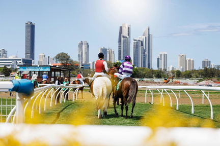 Demex Raceday Gold Coast Turf Club